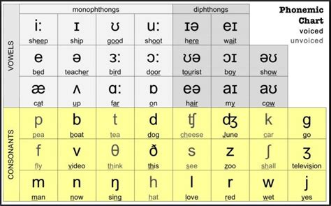 Monophthongs Vowels | 60 plays | Quizizz