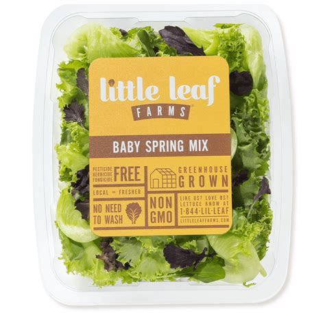 Local Lettuce - Little Leaf Farms - New England's Best Tasting Greens!