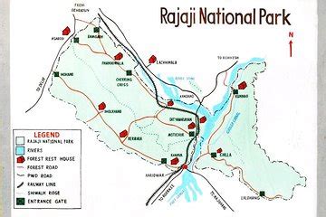 Jungle Safari at Rajaji National Park 2024 - Haridwar