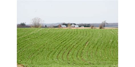 Iowa Farms and Land in Farms | Morning Ag Clips