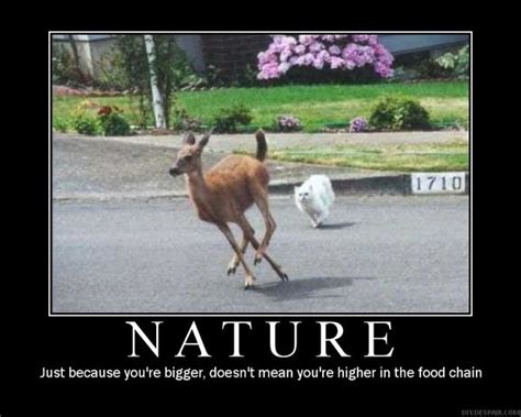 NATURE Just because you're bigger, doesn't mean you're... - Memerial.net