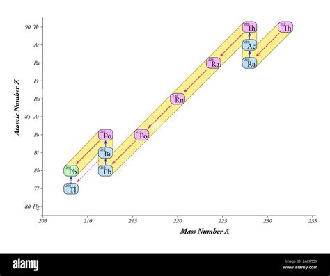 Nuclear decay chain, thorium series. Diagram of the nuclear decay chain of thorium-232 (Th-232 ...