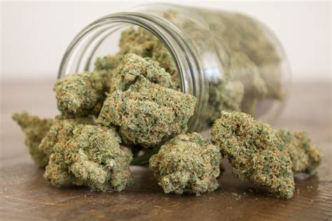 How Effective Is Gary Payton Weed For Treating Mental Conditions - Just F