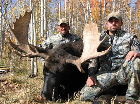 Colorado Shiras Moose Hunting | QRS Outdoor Specialties