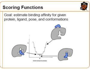 Difference Between Molecular Docking and Scoring | Compare the ...