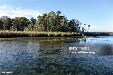 Crystal River National Wildlife Refuge Photos and Premium High Res Pictures - Getty Images