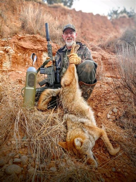 How to Call Educated Coyotes: Tips from Professional Predator Hunter ...