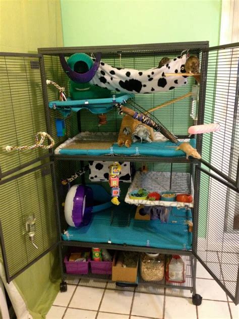 Rat Cage setup ideas from Ratgirl44 on YouTube | Mascotas, Roedores