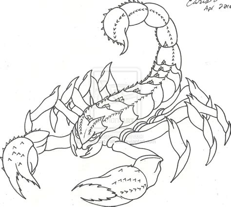 Scorpion Outline Drawing at GetDrawings | Free download