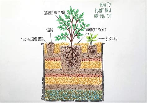 No-Dig Pots: DIY Way to Grow Loads of Veggies In Containers - Milkwood