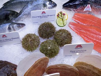 How to Store Fish I Best Ways to Store Fresh Fish