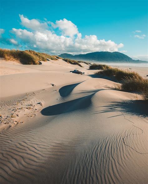 Travel Crush of the Week: Nehalem Bay State Park, Oregon | Here ...