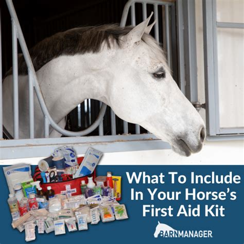 What To Include In Your Horse’s First Aid Kit - BarnManager