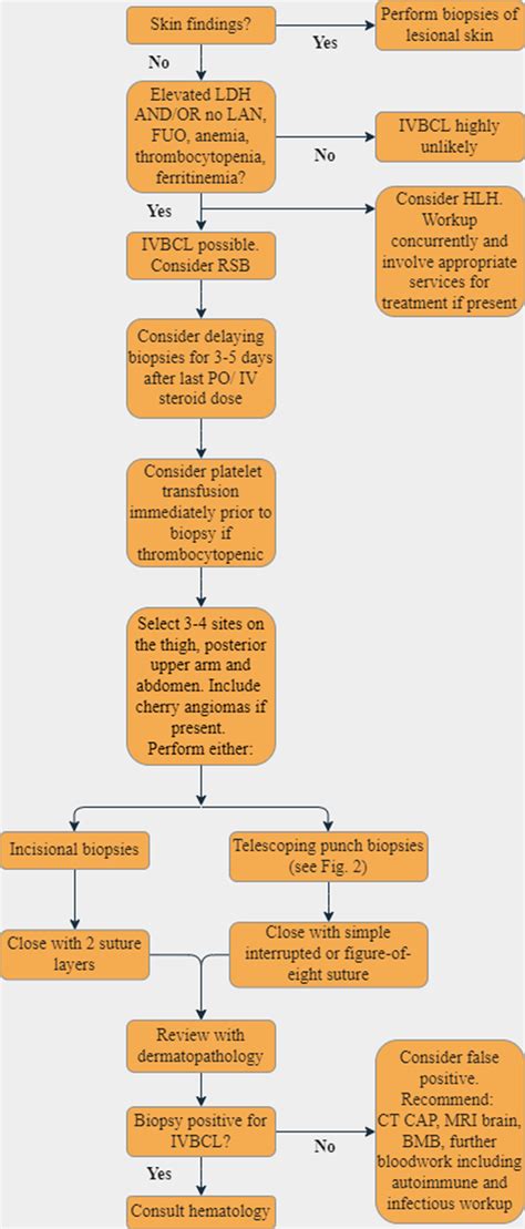 Recommendations for an Approach to Random Skin Biopsy in the Diagnosis ...