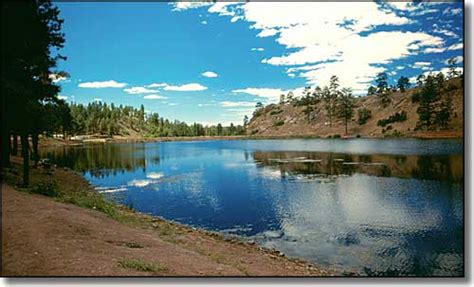 Cibola National Forest Campgrounds