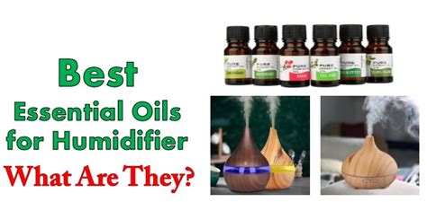 5 Reasons Not to Add Essential Oils in Your Humidifier