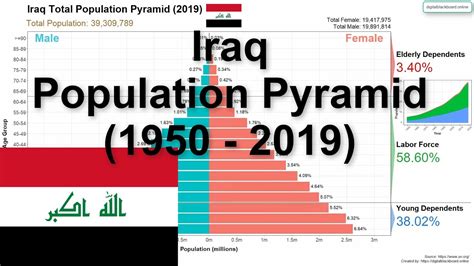 Iraq Population Pyramid (1950 - 2019) - YouTube