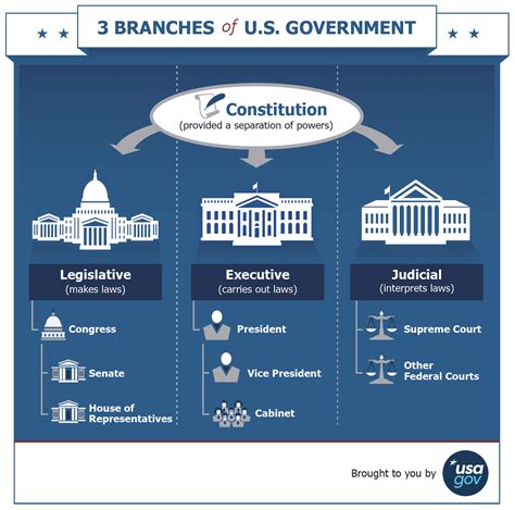 Infographic Definition Of Democracy Webster