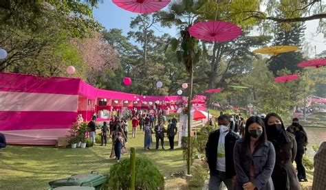 Shillong Cherry Blossom Festival 2021 wins awards