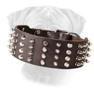 Extra Wide Leather Studded Bullmastiff 【Collar】 Cool Novelty : Bullmastiff Breed: Dog harness ...