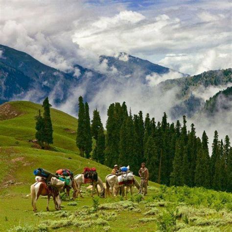 Shogran Valley - TripMaker.pk