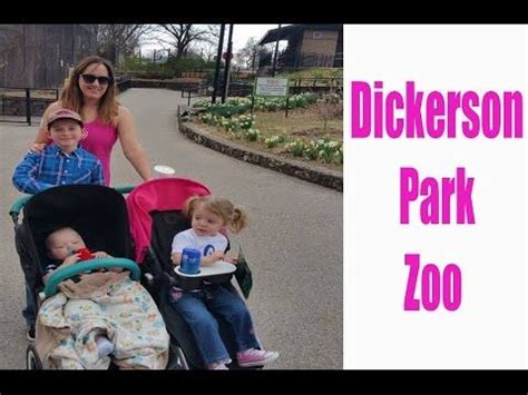 The Free Birds - Dickerson Park Zoo – Springfield, Missouri Zoo ...