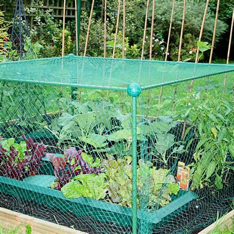 Anti Bird Pond Netting Net Plants Veg Crops Fruit Protect Garden Fine Mesh 4 Size | Walmart Canada