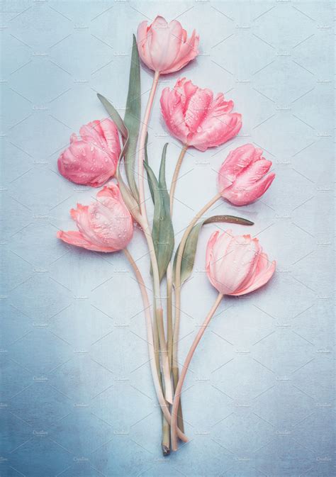 Pastel pink tulips on blue | High-Quality Arts & Entertainment Stock Photos ~ Creative Market