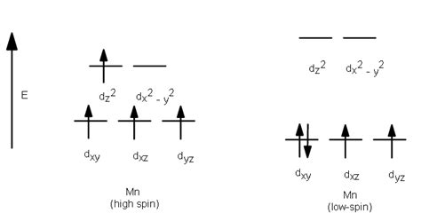 Which transition metal can form both a high and low spin complex? "Zn"^(2+), "Cu"^(2+), "Mn"^(3 ...