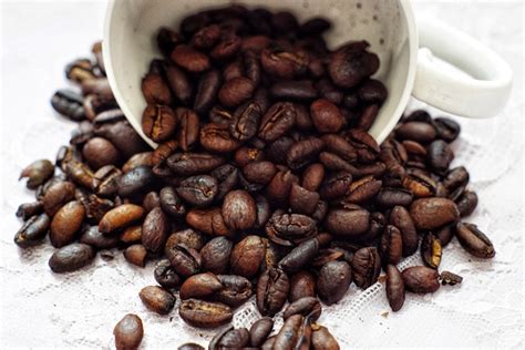 Liberica Coffee Beans: Facts, Flavors & Pictures? | Coffee Affection