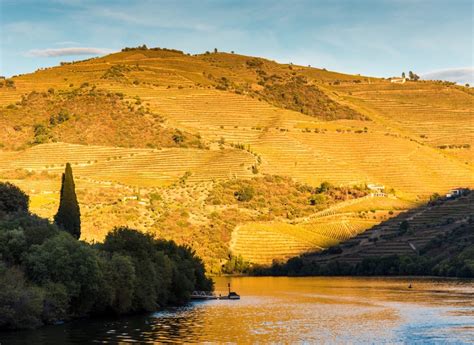 Douro River (The River of Gold) Portugal - Kaz Custom Travel