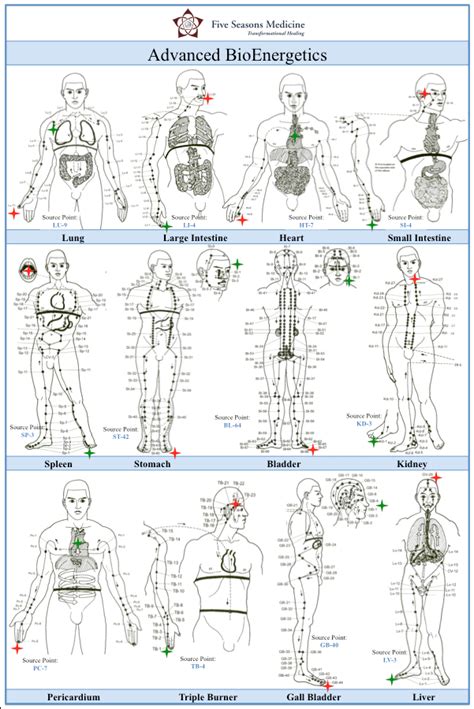 Advanced BioEnergetics