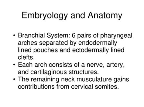 PPT - Branchial Cleft Cysts PowerPoint Presentation - ID:1024686