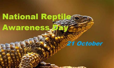 National Reptile Awareness Day 2022: History, Activities, Quotes ...