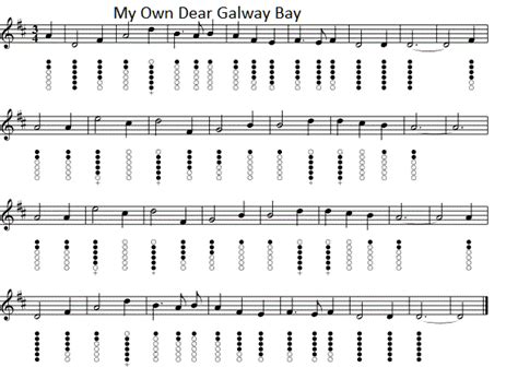 My Own Dear Galway Bay Dolores Keane lyrics and guitar chords - Irish ...