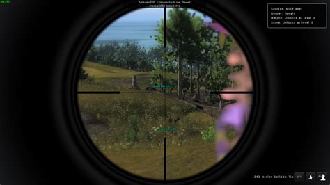 [Release] theHunter - External (Steam) - Page 34