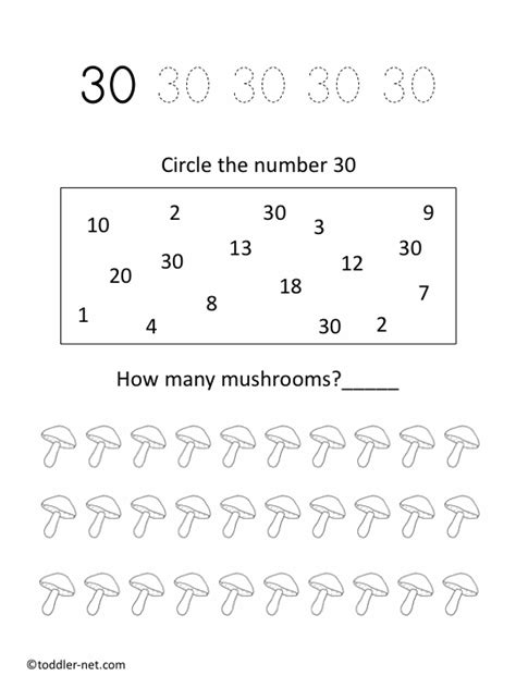 6 Best Images Of Number Flashcards 1 30 Printable Printable Number Images