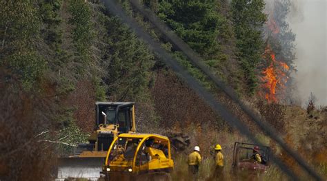 Wildfire in northeastern Minnesota grows to 1,500 acres | World News - The Indian Express