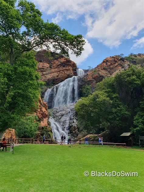 Walking Trails in Joburg: An Afternoon in the Walter Sisulu Botanical Gardens - Blacks Do Swim