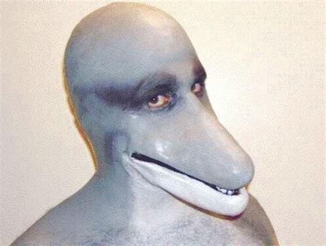 cursed_dolphin : r/Cursed_Images