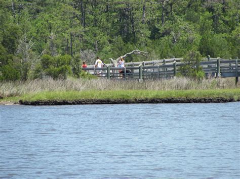 The Crystal Coast Happenings!: Croatan National Forest Recreation Area