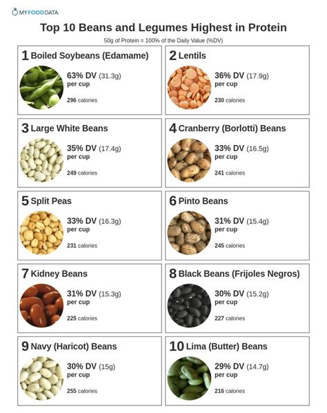 Top 10 Beans and Legumes Highest in Protein | Protein in beans, Vegan ...