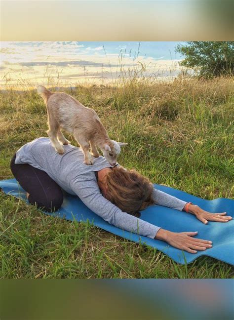 This Relaxing New Yoga Class Is Full of . . . Goats?! | Goat yoga, Animal yoga, Puppies yoga