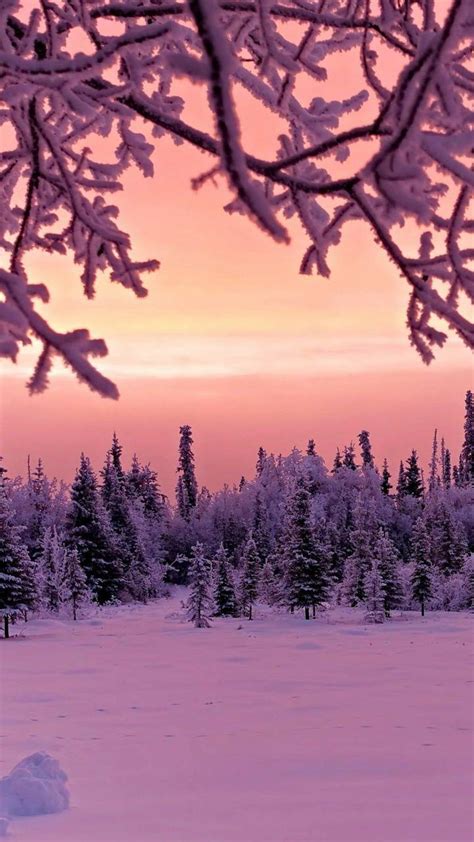 Winter Pink Wallpapers - Wallpaper Cave