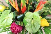 Bouquet de Fleurs Exotique Bora-Bora en Livraison - La Fontaine Fleurie