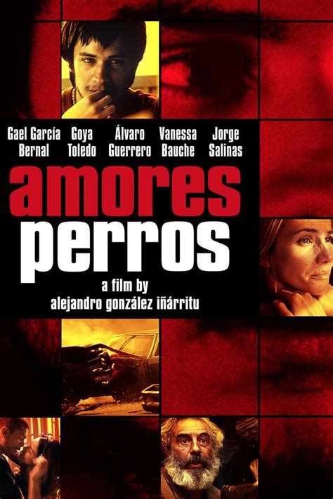 Amores Perros (2000) - Posters — The Movie Database (TMDB)