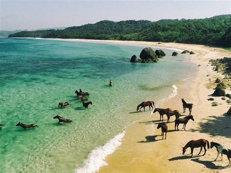 Sumba Surf Travel Guide | Perfect Wave Travel