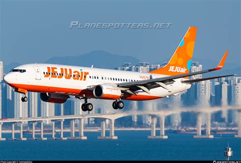 Zibo 737 Jeju Air 2025 Flight Status - Laura Morgana