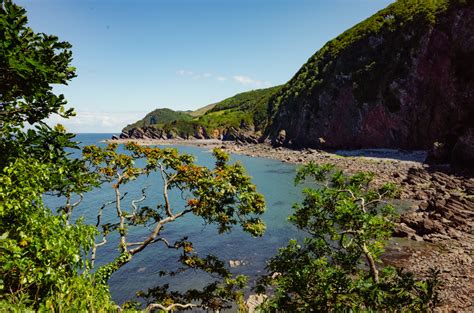 Woody Bay | Berry's Ground Lane, Martinhoe, North Devon