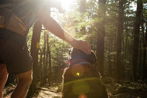 Man And Dog On Hike Photograph by Joe Klementovich - Fine Art America